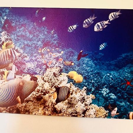 Casa Vacanza Cuto Багерия Екстериор снимка